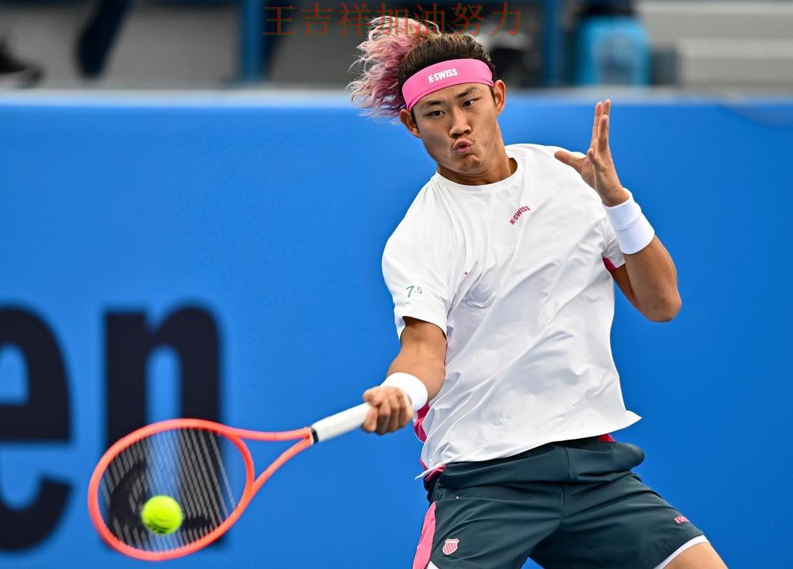 WTA巡回赛阵容变化盘点:张之臻表现抢眼 引发球迷持续关注 WTA巡回赛阵容变化盘点:张之臻表现抢眼 引发球迷持续关注