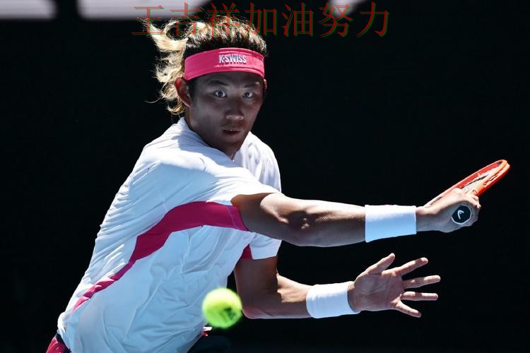 WTA巡回赛阵容变化盘点:张之臻表现抢眼 引发球迷持续关注 WTA巡回赛阵容变化盘点:张之臻表现抢眼 引发球迷持续关注